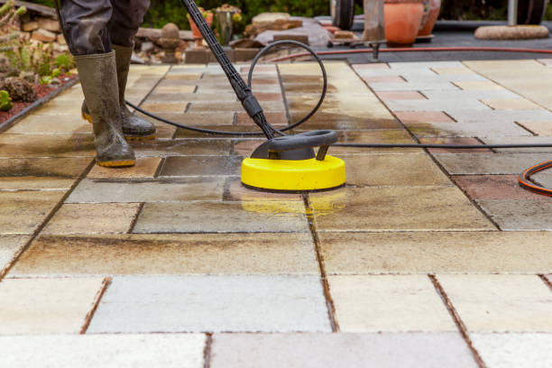 Best Driveway Pressure Washing  in Beaver Dam, KY